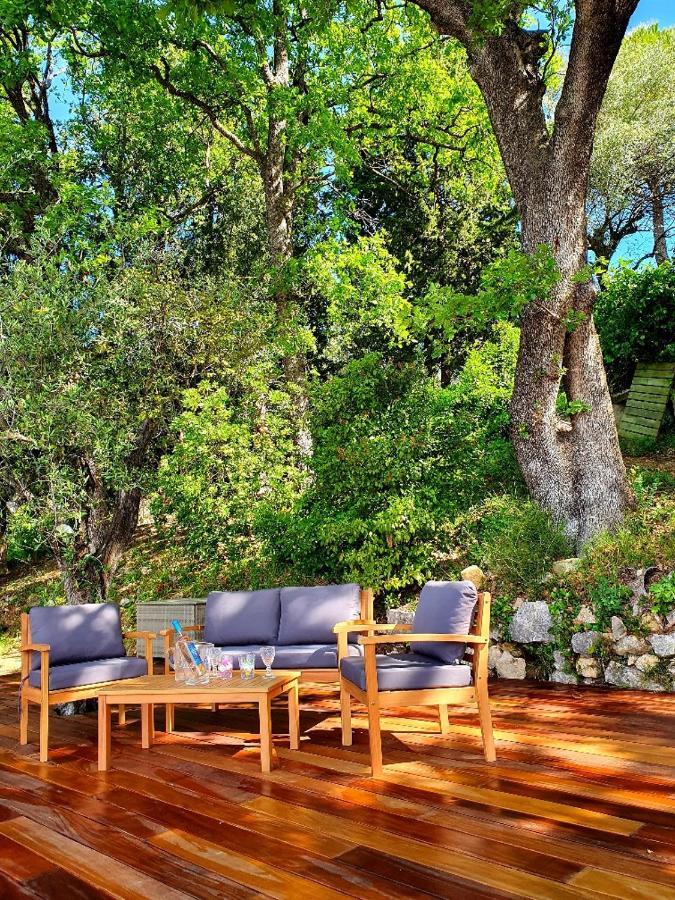Apartment Picasso In Large Park With Heated Pool Chateauneuf-Grasse Экстерьер фото