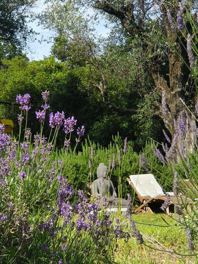 Apartment Picasso In Large Park With Heated Pool Chateauneuf-Grasse Экстерьер фото
